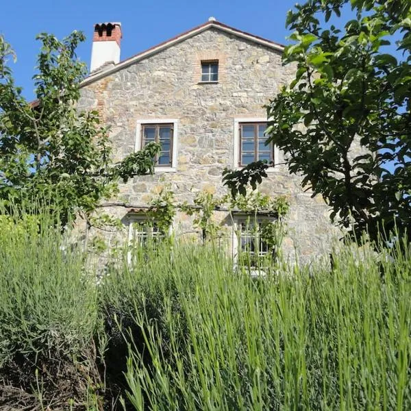 A lovely house in Vipava valley，位于维帕瓦的酒店