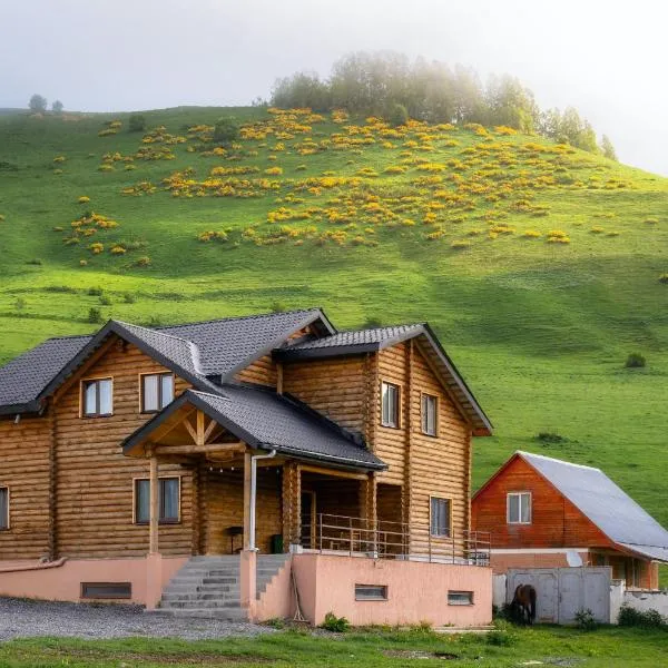 Snow Time Eco Chalet，位于古多里的酒店