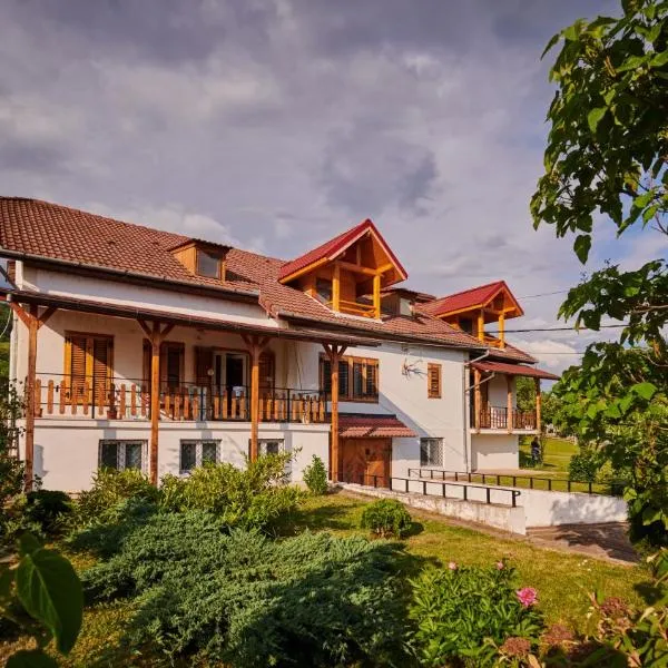 Vila Ţara Haţegului，位于Rîu Bărbat的酒店