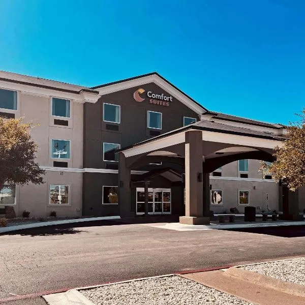 Comfort Suites San Angelo near University，位于圣安吉洛的酒店