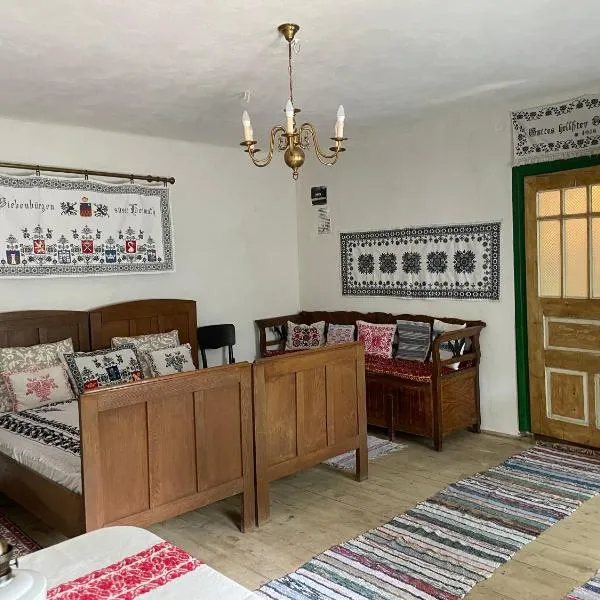 Saschiz 175 GuestHouse，位于Cloaşterf的酒店