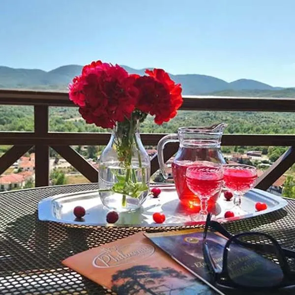 Philoxenia Hotel，位于Paranesti的酒店