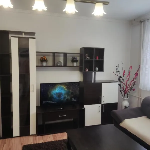 Apartmani Sarah Tuzla，位于图兹拉的酒店