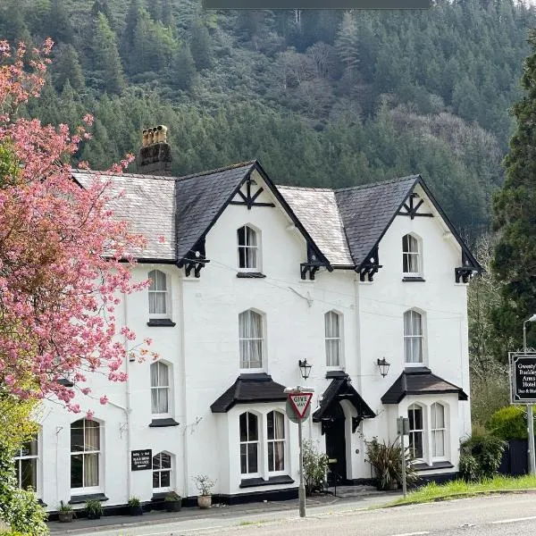 The Buckley Arms，位于Llanerfyl的酒店