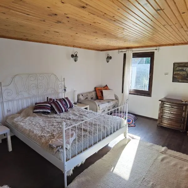 Room for guests，位于Plovdivtsi的酒店
