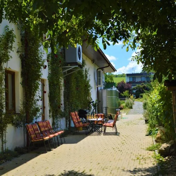 Penzion v rodinném vinařství Kadubcovi，位于Javorník的酒店