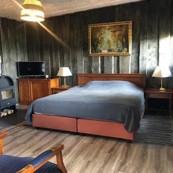 Forest cabin，位于Vecsaule的酒店