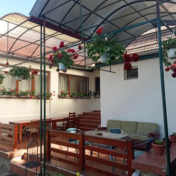 Elza Guesthouse，位于Muntele Cacovei的酒店