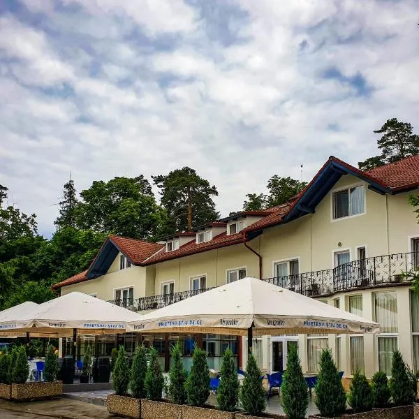 Dumbrava Sibiului，位于勒希纳里的酒店