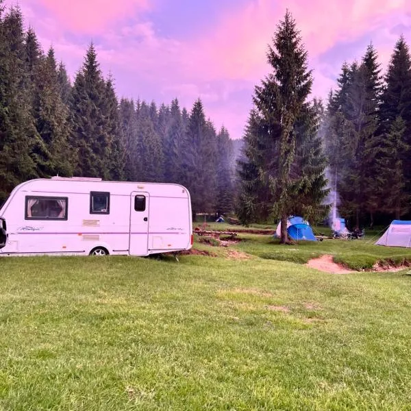 Apusenia Caravan Escape Padiș - Glăvoi，位于Pietroasa的酒店