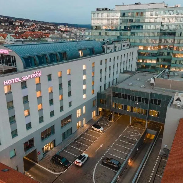 萨芙蓉酒店，位于Železná的酒店
