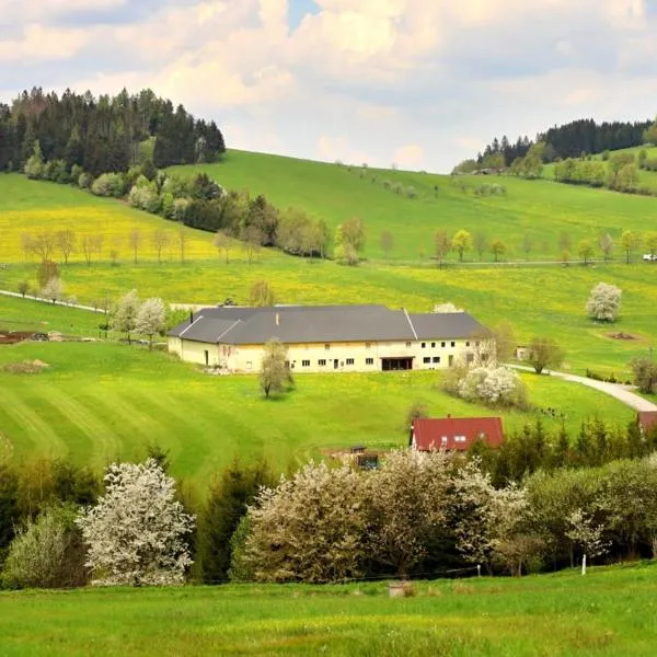 Rodinný penzion Jimramovské Pavlovice až 24 osob!，位于Škrdlovice的酒店