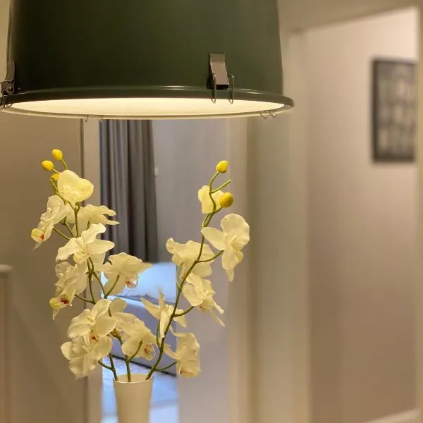 Apartman Teatar，位于松博尔的酒店