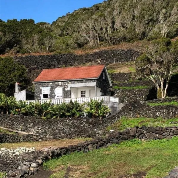 Adega do Golfinho，位于Calheta de Nesquim的酒店