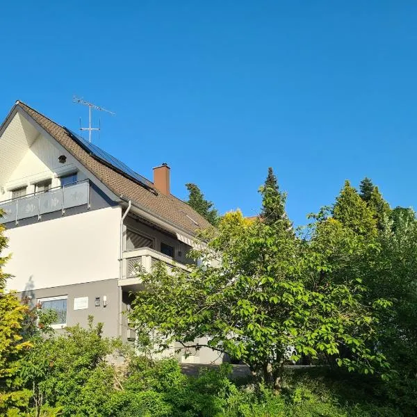 Ferienwohnung mit toller Aussicht，位于阿尔布斯塔特的酒店