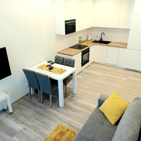 AJP Nova3 Lux Apartament，位于什切青的酒店