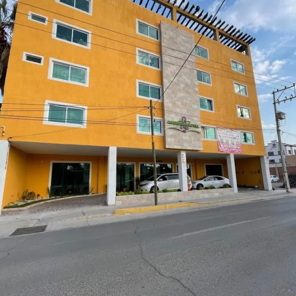 ABERDEEN HOTEL DOLORES HIDALGO，位于多洛雷斯-伊达尔戈的酒店