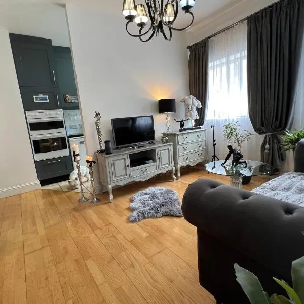 Lovely apartment in Cork，位于科克的酒店