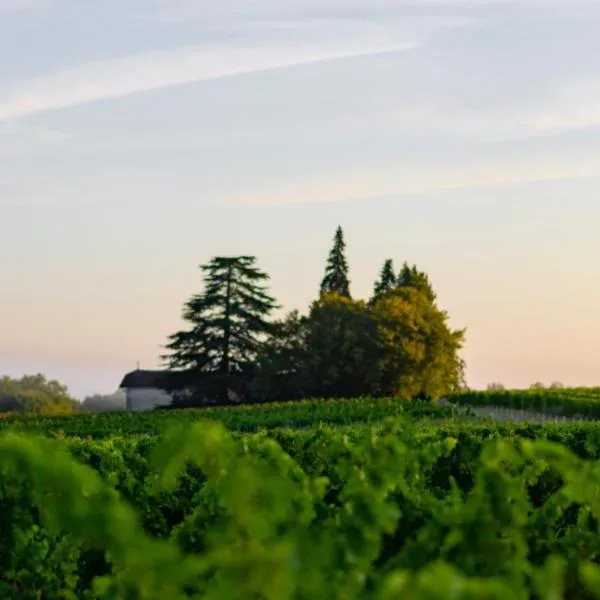 Vandenbeld Wines B&B，位于Porchères的酒店