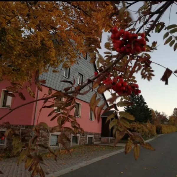 Ferienwohnung Zum Ausblick，位于Gottgetreu的酒店