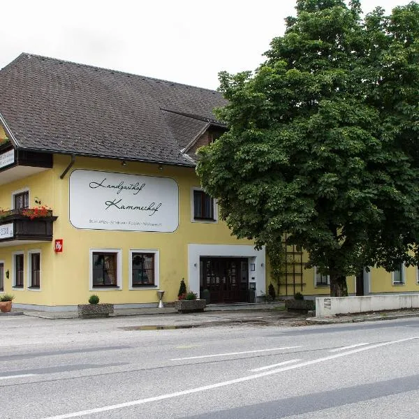 Landgasthof Kammerhof，位于Rabenstein的酒店