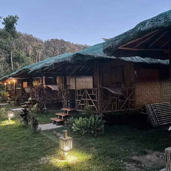 Back Trippers Inn，位于圣维森特的酒店