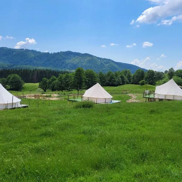 Nucsoara Glamping Cozy，位于Nucşoara的酒店