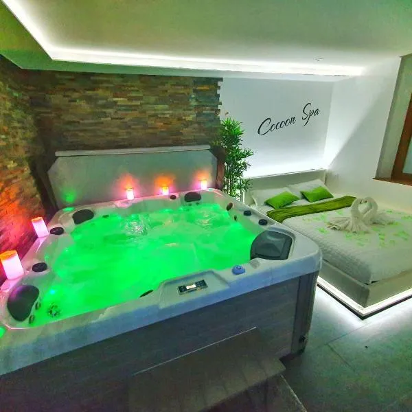 -GITE COCOON SPA-JACUZZI-JARDIN-PARKING Privé-CLIMATISATION，位于Holtzwihr的酒店