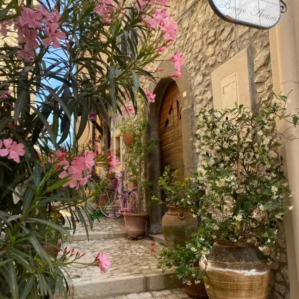 Il Borgo Antico，位于Rocca Massima的酒店