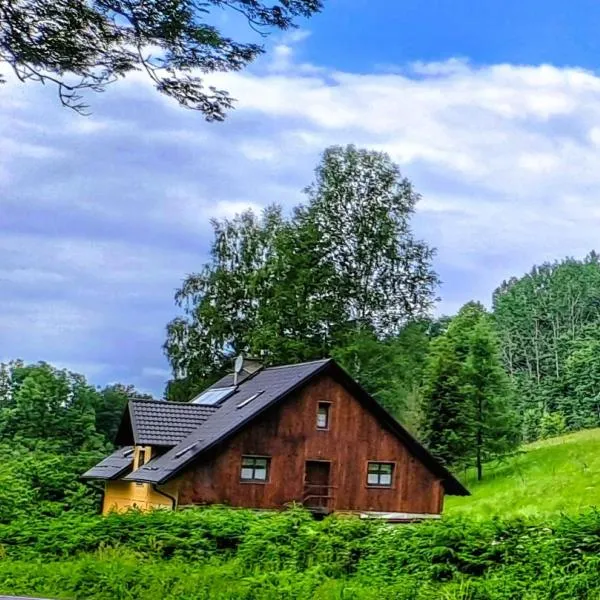 Apartmán u Ještěrky se saunou v ceně, Rejvízská 29, Jeseník，位于Filipovice的酒店