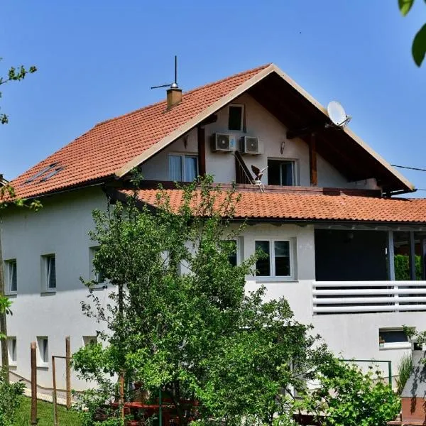 House Bićanić，位于塞里特雷尼科的酒店