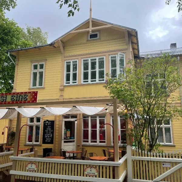 Spacious Supeluse Apartment，位于派尔努的酒店