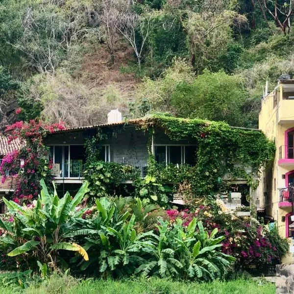 Casa Cereza Apartments，位于巴亚尔塔港的酒店