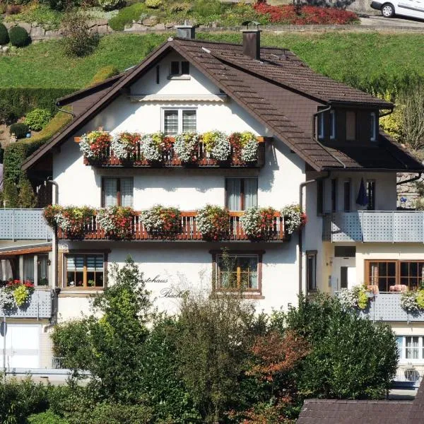 Gästehaus und Ferienwohnung Bächle，位于上哈尔默斯巴赫的酒店