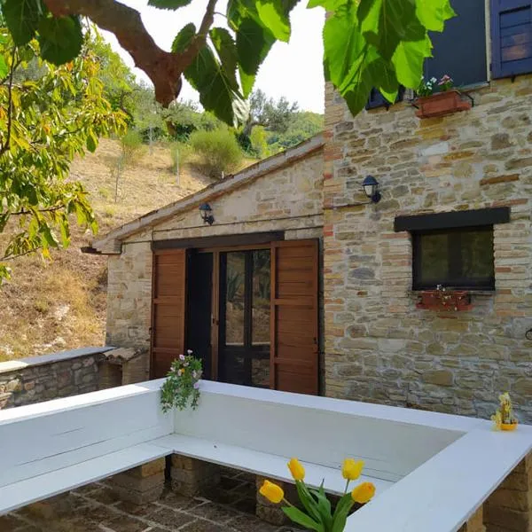 Podere le Serre，位于钦戈利的酒店