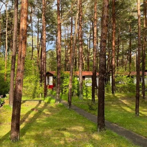 Bungalow im Kiefernwald direkt an der Ostsee (b)，位于岑平的酒店