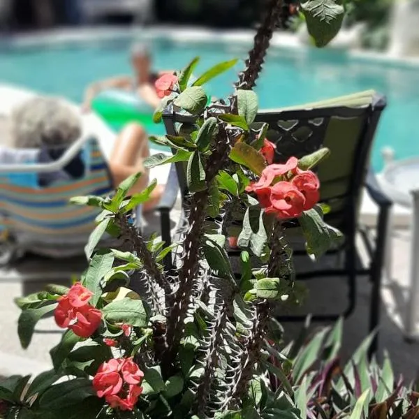 Apartmento con alberca a 50 mt del mar La Licha，位于马萨特兰的酒店