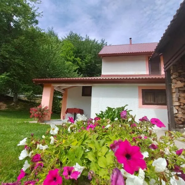 Holiday House Trnovac，位于Trnovac的酒店