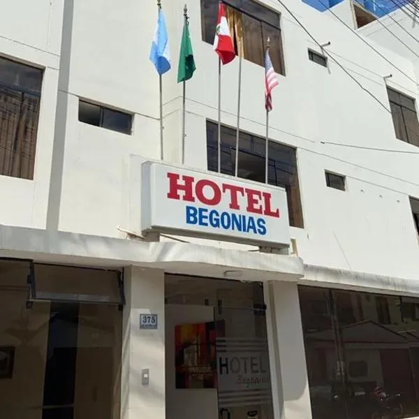 Hotel Begonias，位于Puerto de Eten的酒店