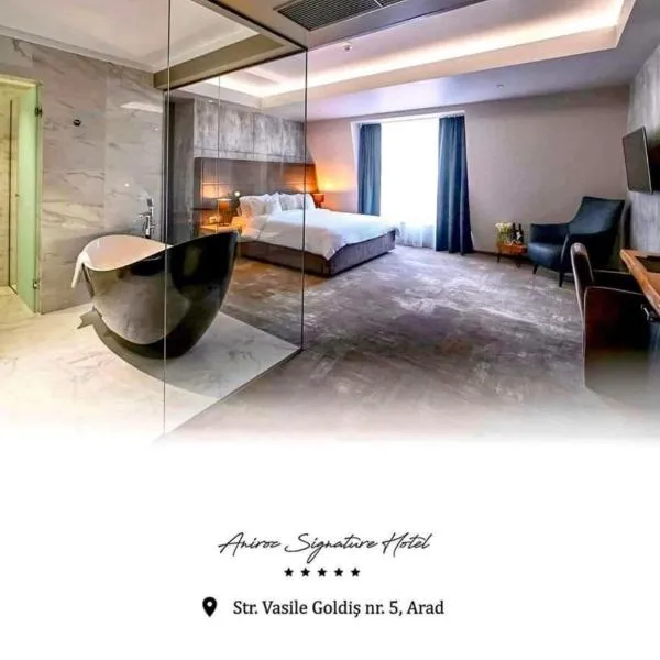 Aniroc Signature Hotel，位于Curtici的酒店