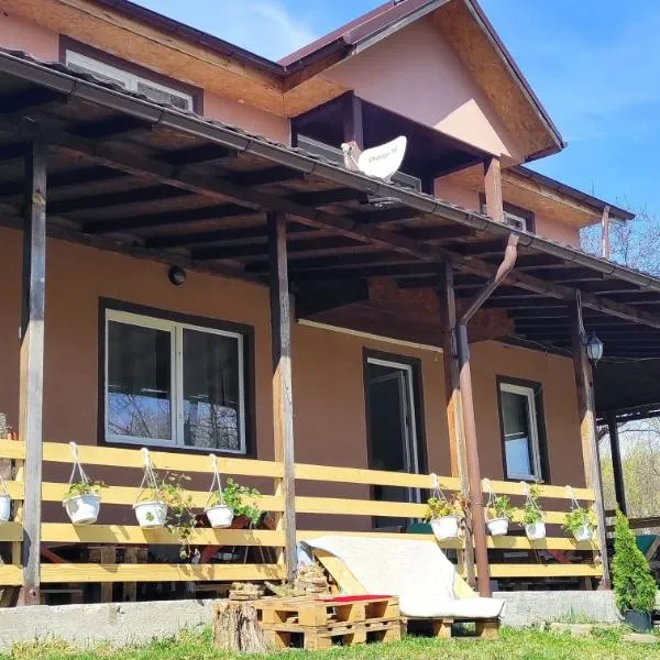 Pensiunea Poiana Marului - Bisoca，位于Plavăţu的酒店