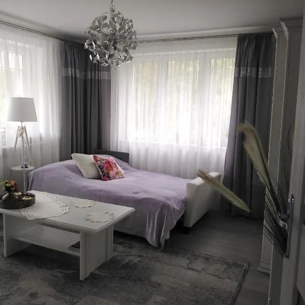 Pokoje gościnne Słupy Olsztyn - parking，位于奥尔什丁的酒店