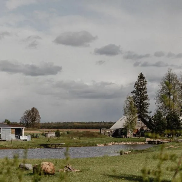 Vienkiemio oazė - Skandinaviškas namelis su vaizdu į tvenkinį，位于Kupiškis的酒店