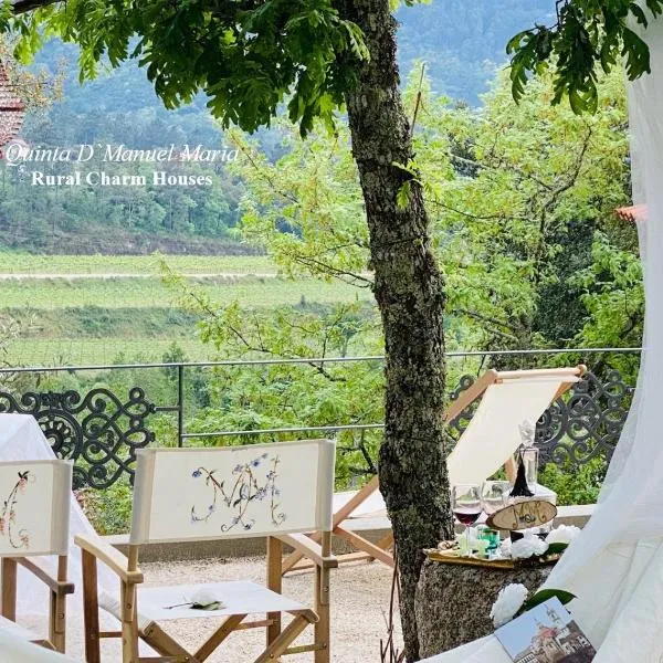Amarante-Quinta D’Manuel Maria, Rural Charm Houses，位于阿马兰特的酒店