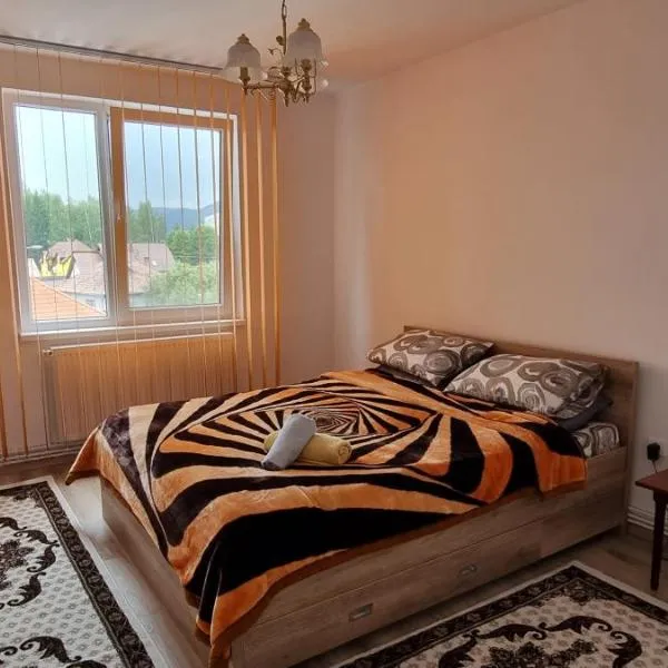 Lovely 1 bedroom apartment in Miercurea Ciuc，位于Sîntimbru-Băi的酒店