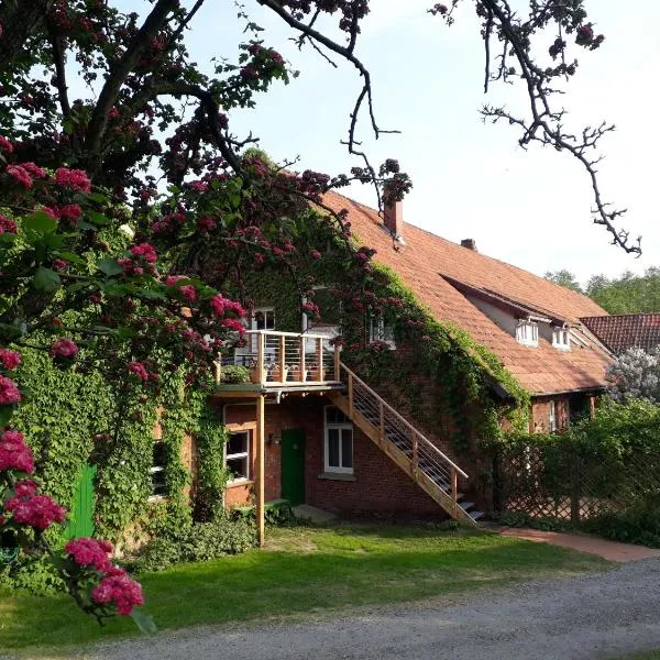 Schwalbennest，位于Böhme的酒店
