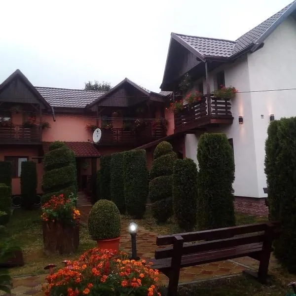Pensiunea Denisa，位于Săcăluşeşti的酒店