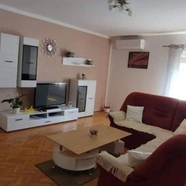 Apartment Eva，位于Burići的酒店