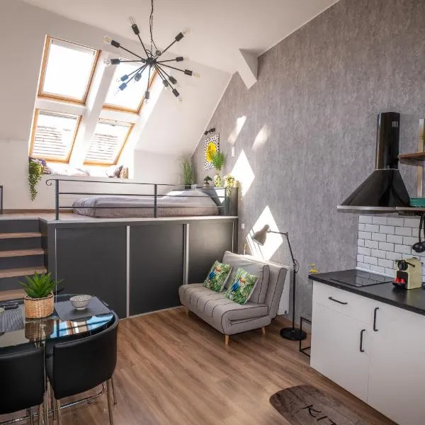 Palms Apartments Budapest，位于布达佩斯的酒店