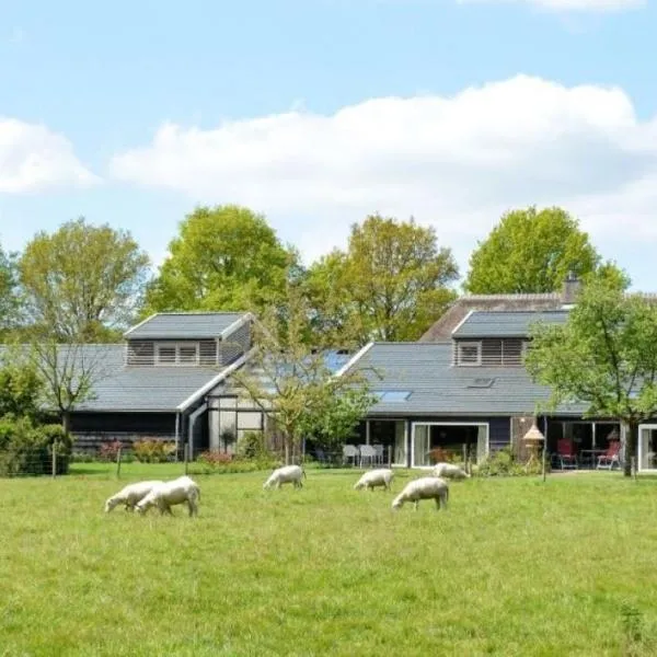 Appartement Hoeve aan de Zuurlanderes Stal-2，位于迪弗尔的酒店